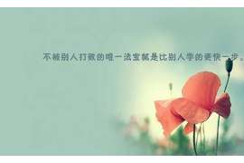 乐东侦探公司